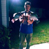 Matthew Hamby's profile image