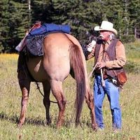 Butch Hopson's profile image