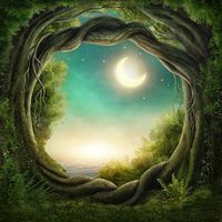 Nickel Durcan's profile image