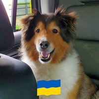 Liz Sherrill's profile image