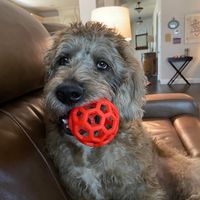 Andy Pickens's profile image