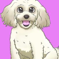 Sheri Fikes-Collins's profile image