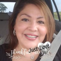 Judy Dowdy's profile image