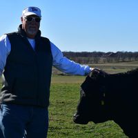Jim Nall's profile image