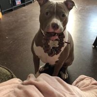 Buffy Prestwood's profile image