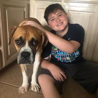 Shannon Katy's profile image