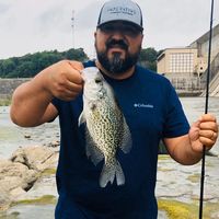 Fernando Carrizalesjr's profile image