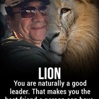 David A Andrade's profile image