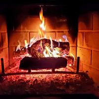 Robert Strong's profile image