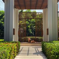 Hailey Curtis's profile image