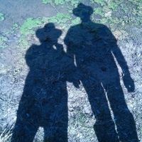 Cindy Lindsay's profile image