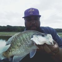 Eddie Benson's profile image