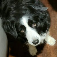 Kristy Warkentin's profile image