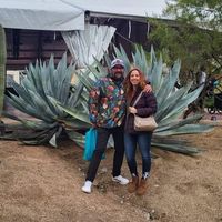 Stephen Foster's profile image