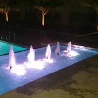 Shannon Fritcher Daniel's profile image