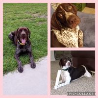Henry N Lilly's profile image