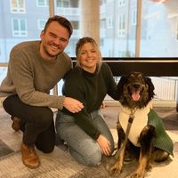 Will Steffen's profile image