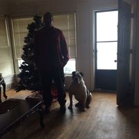 Curtis White's profile image