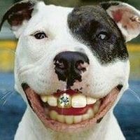 Eddie Sinclar's profile image