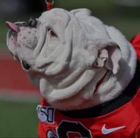 Jason Fox's profile image