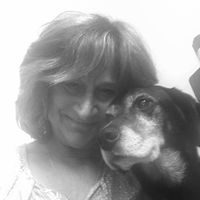 Annette Asbrock Ball's profile image