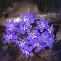 Sally Faye's profile image