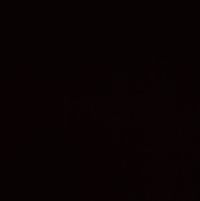 Victor Hugo Silva Jr.'s profile image