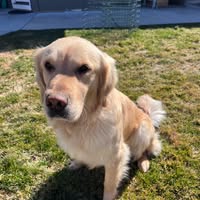 Gary Dahlquist's profile image