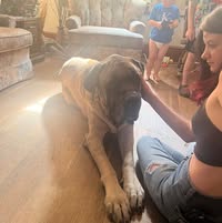 Donna Cline's profile image