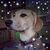 Jenn N Patrick Birdwell's profile image