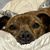 Angela Hensel Price's profile image