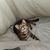Anna Hafner's profile image