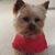 Judy Stone's profile image