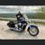 Tammy Harrington-McCain's profile image