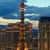 Linda Kovacik's Profile Image