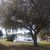 Sharon Gribben Eckhoff's profile image