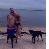 Jake Williams's profile image