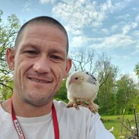 Dave Riddiford's profile image