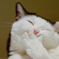 MaryAnn Morfitt's profile image