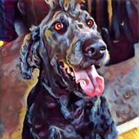 Terry Johnson's profile image