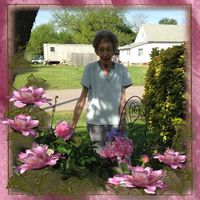 Trish Bullard-Bourne's profile image