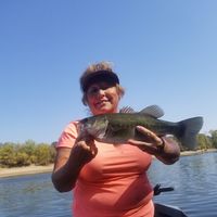 Lee Gott's profile image