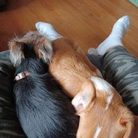 Dale Smith's profile image