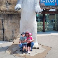 Duane Baresel's profile image