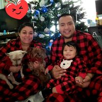 Perla Lopez-Herrera's profile image