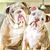 Hilda Castillo's profile image
