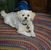 Mark Schallhorn's profile image