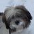 Penny Conoby's profile image