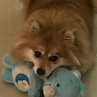 Odette Roitman's profile image