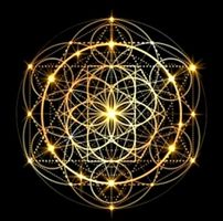 Gricel Oliva's profile image